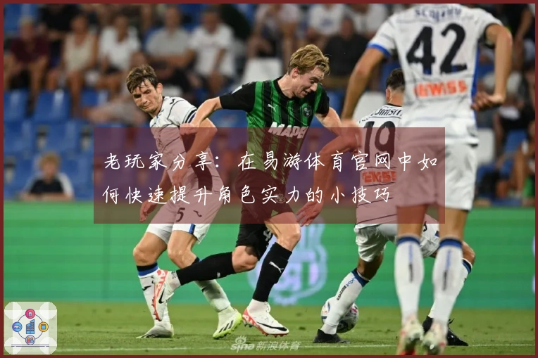 老玩家分享：在易游体育官网中如何快速提升角色实力的小技巧